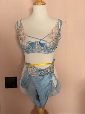 Honey Birdette Powder Blue Embroidered Lace Bra & Satin Brief Set